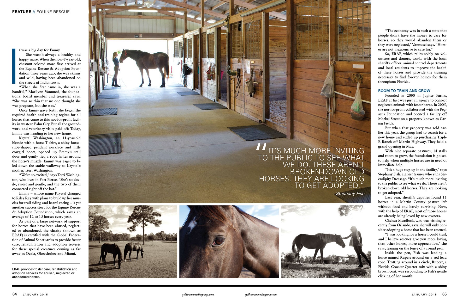 Horse Haven_Equine Rescue_Robert Holland magazine photographer
