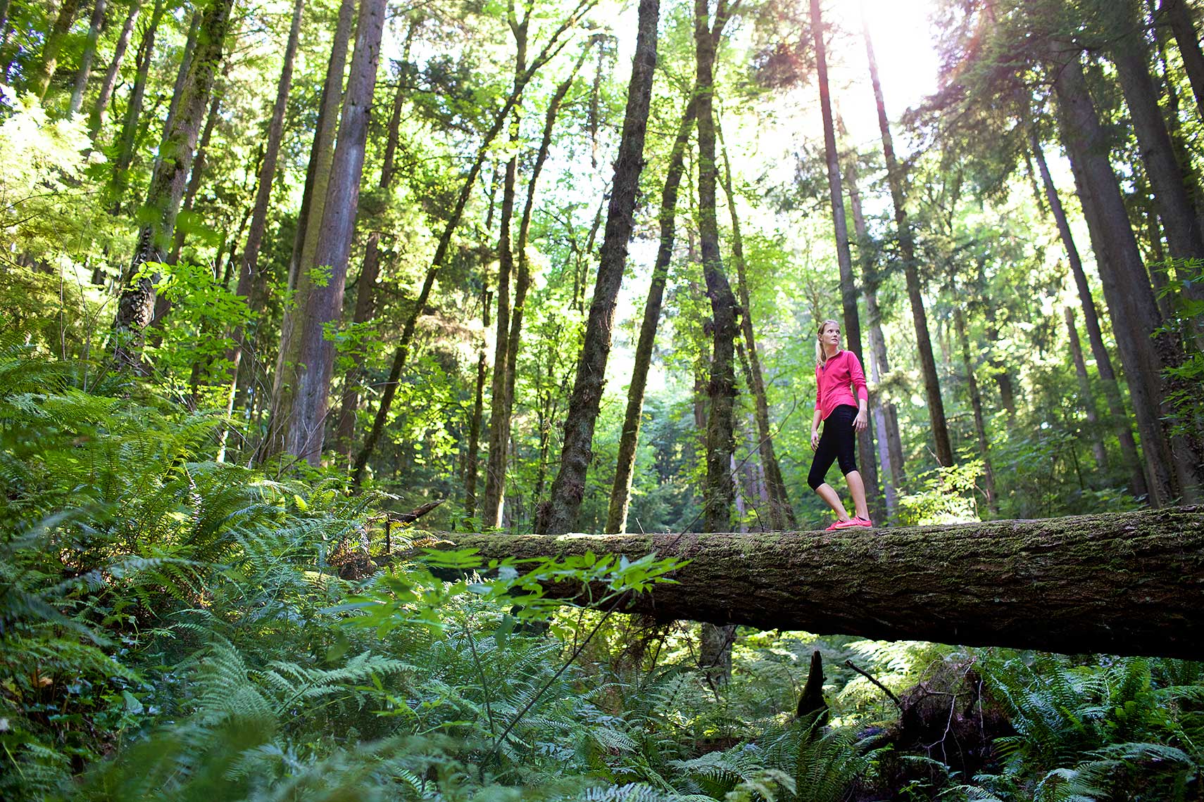 Robert-Holland_MG_5631_hiker walks across log in Forest Park, Portland, Oregon