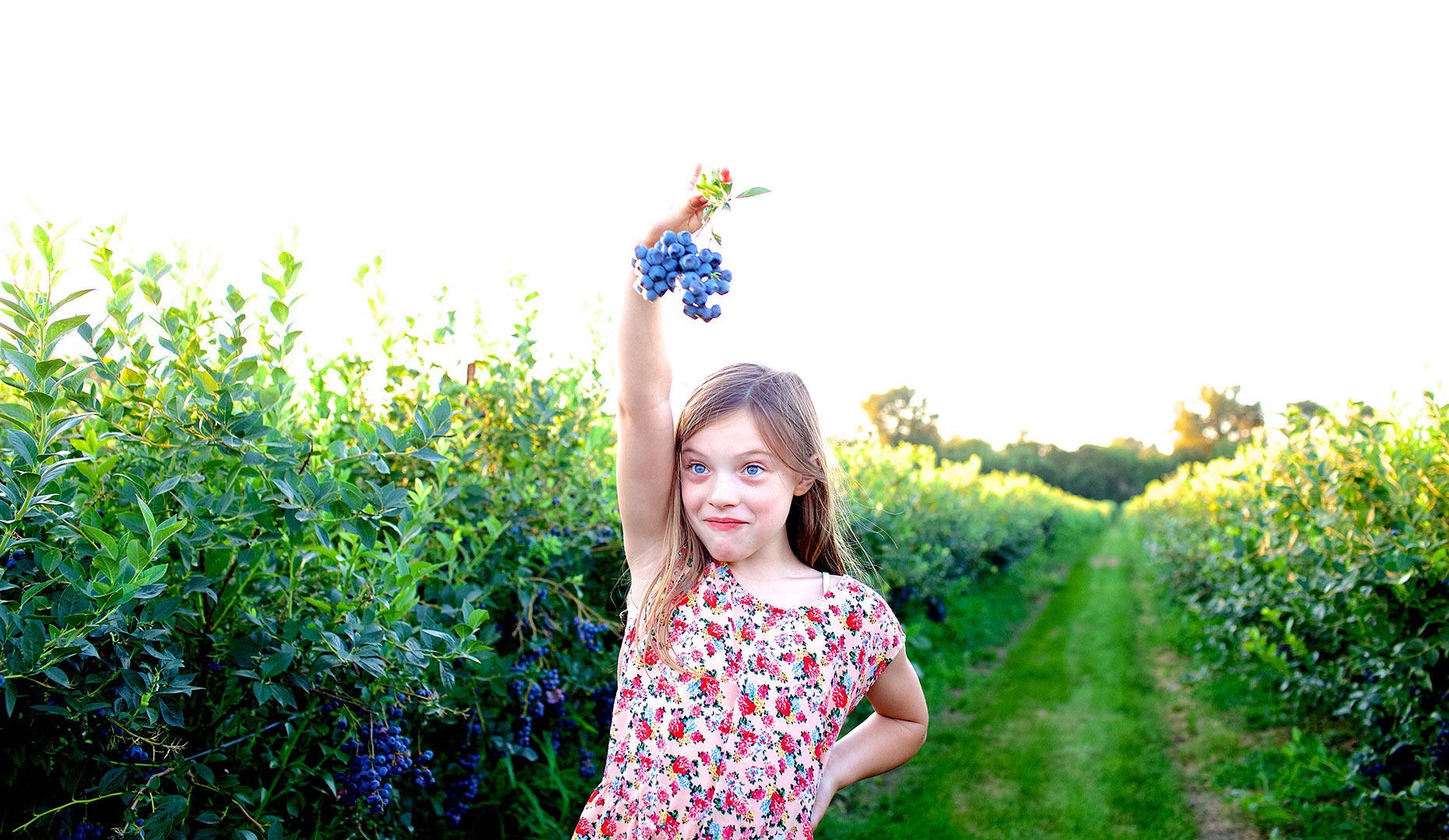 young girl with berries in hand, blueberry farm Salem, Oregon_Robert-Holland_MG_7532