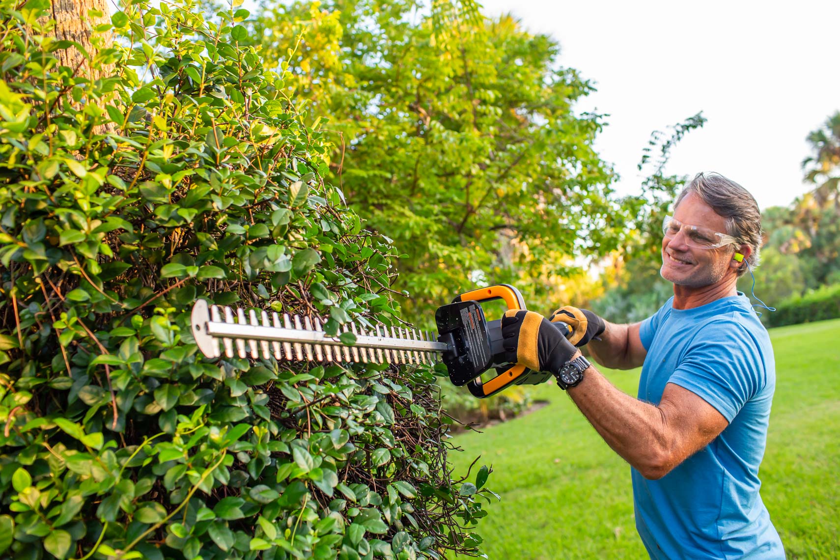 _MG_2303_man cutting hedge with battery hedge trimmer_RobertHolland
