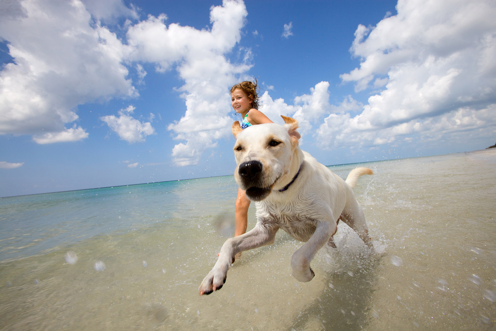 girl and dog running at shore_MG_2904_Robert_Holland.jpg