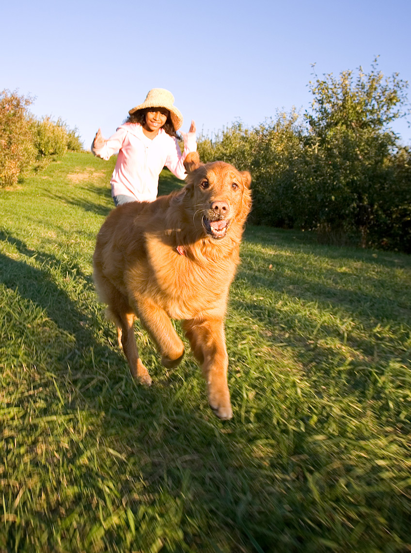 dog running toward camera in orchard_Y0U7568_Robert-Holland.jpg